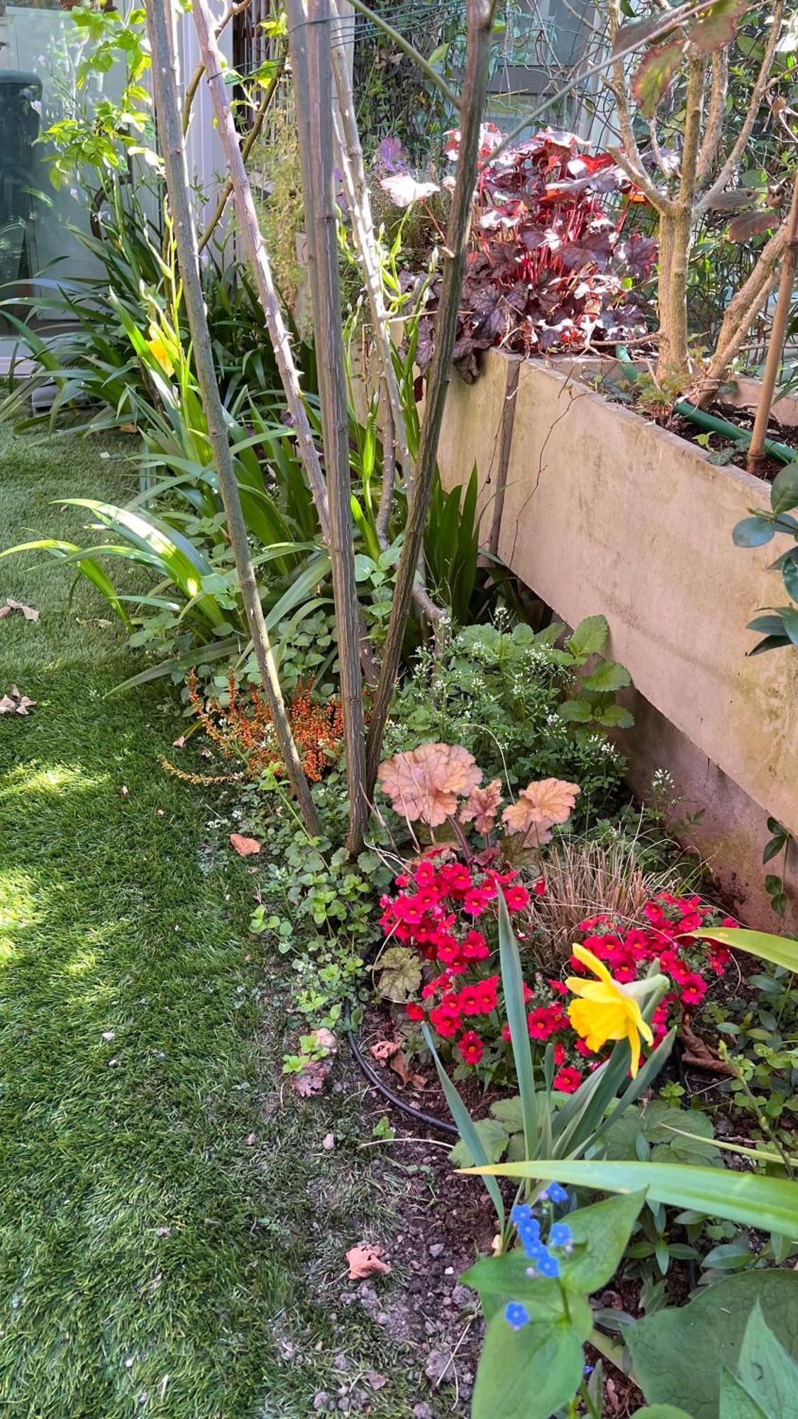 Garden Suite โบลซาโน ภายนอก รูปภาพ